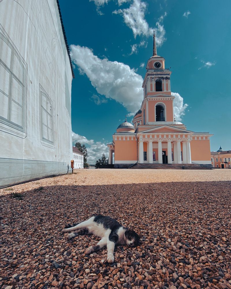 Photograph by Козинец Александр