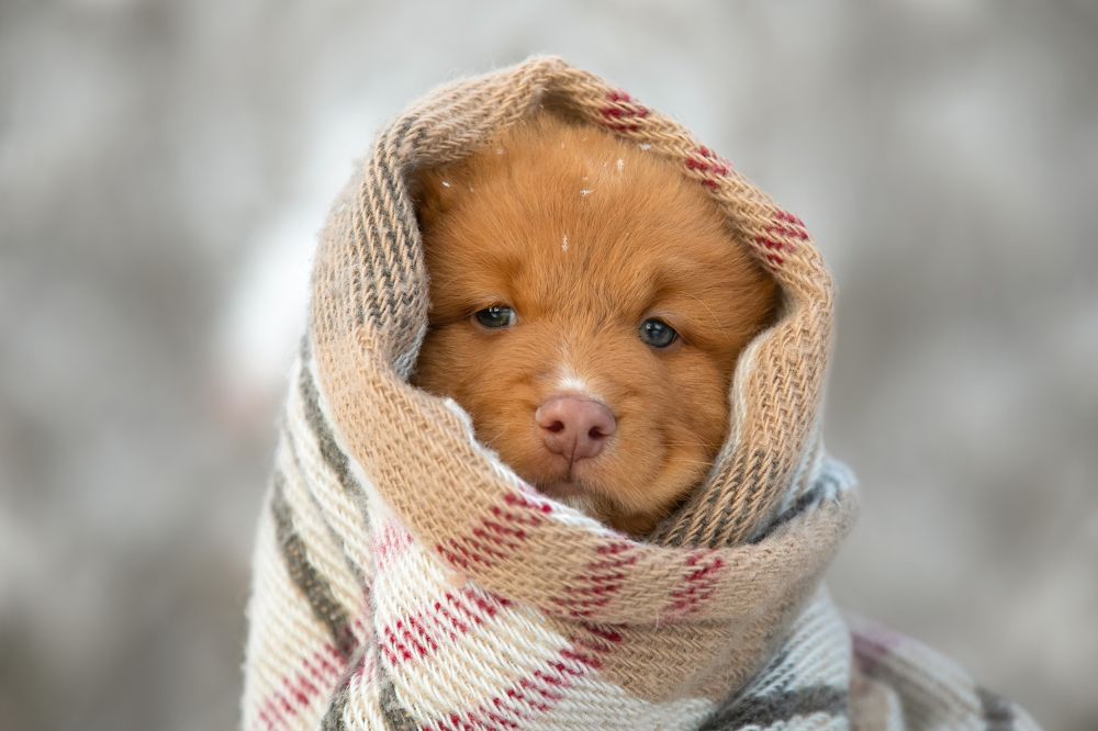 Photograph by Anna Oris