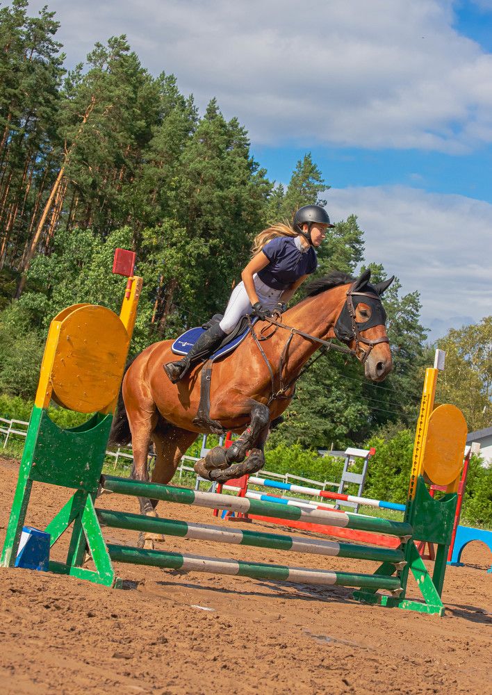 Фотография автора Aлексей Игнатьев