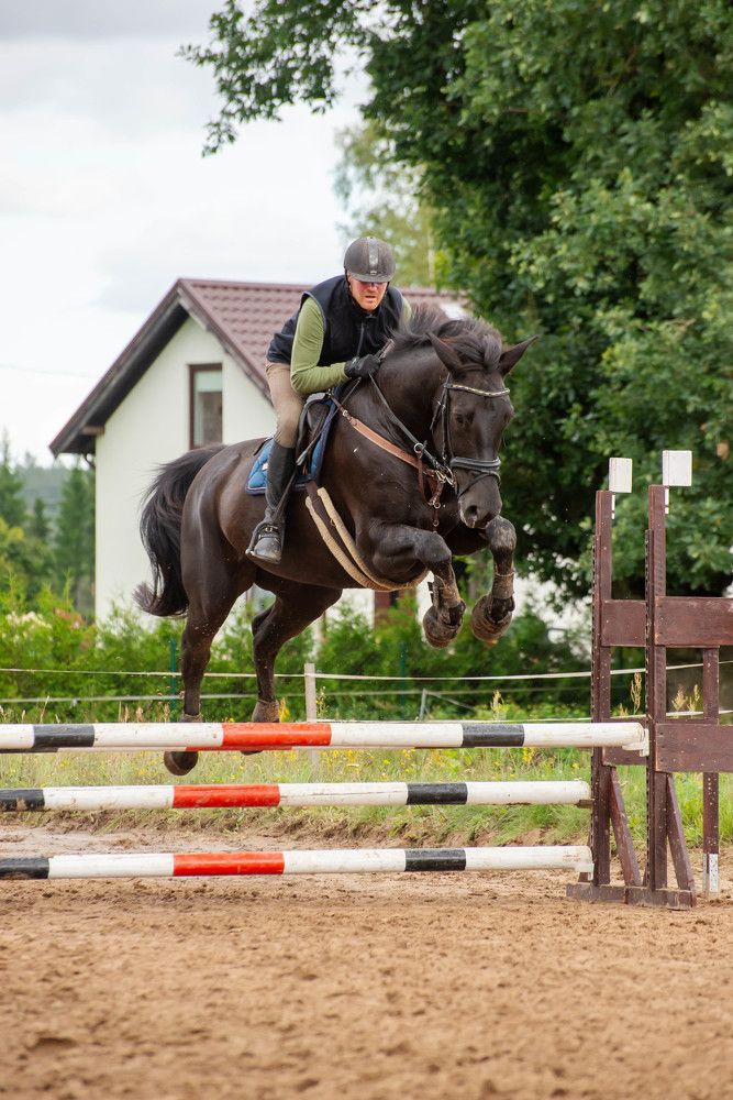Фотография автора Aлексей Игнатьев