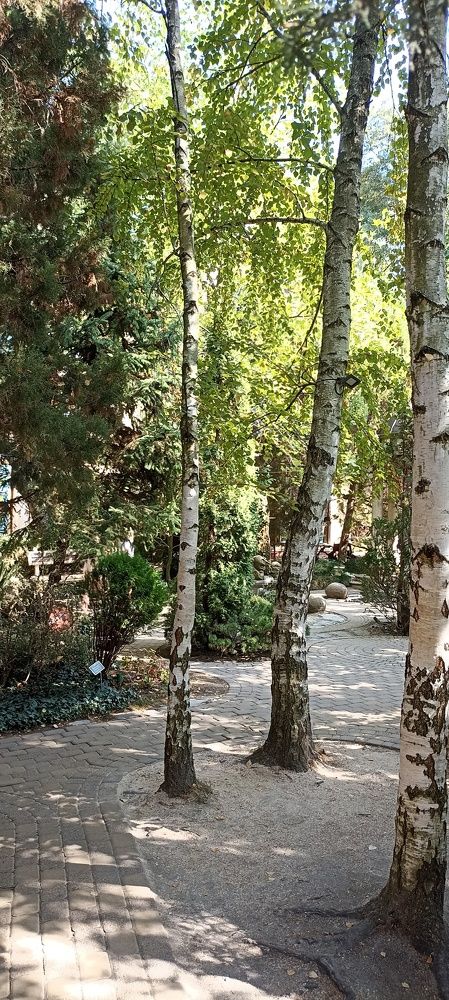 Photograph by Ирина Константинова