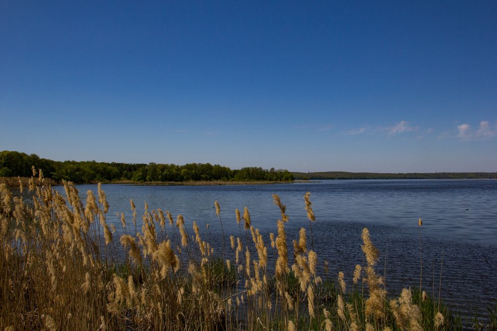 Photograph by Макарова Татьяна