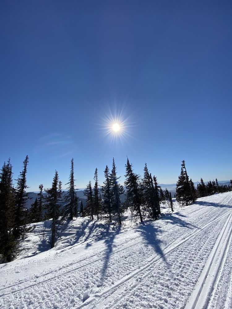 Photograph by Ольга Стафутина