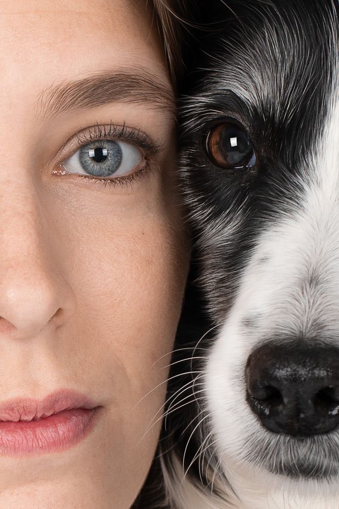 Фотография автора Alicia Mate