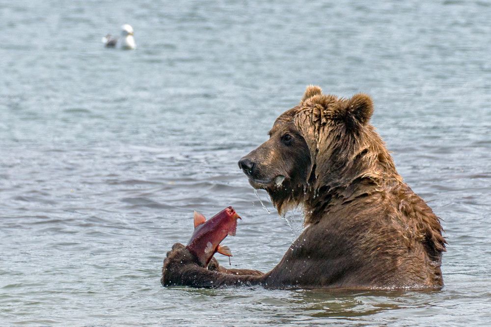 Photograph by Иванова Регина