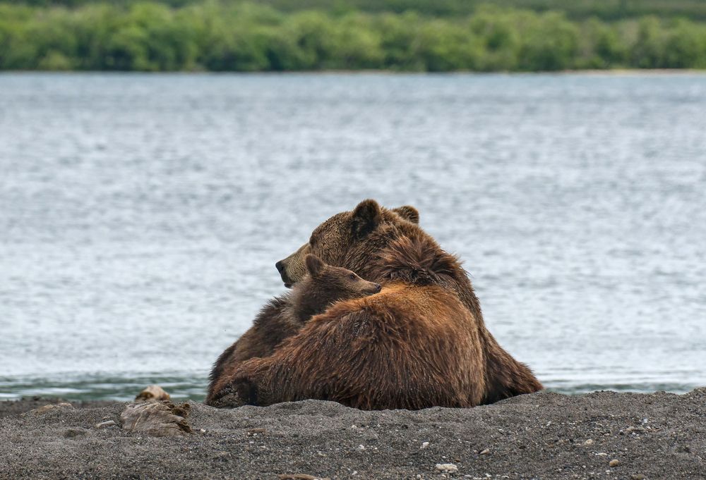 Фотография автора Иванова Регина