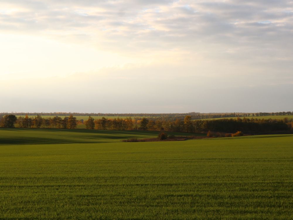 Летний вечер