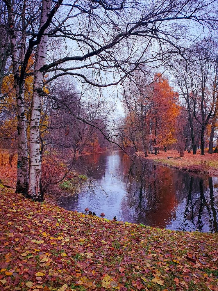 Осенняя акварель.