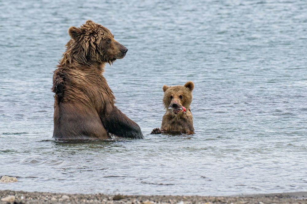 Фотография автора Иванова Регина