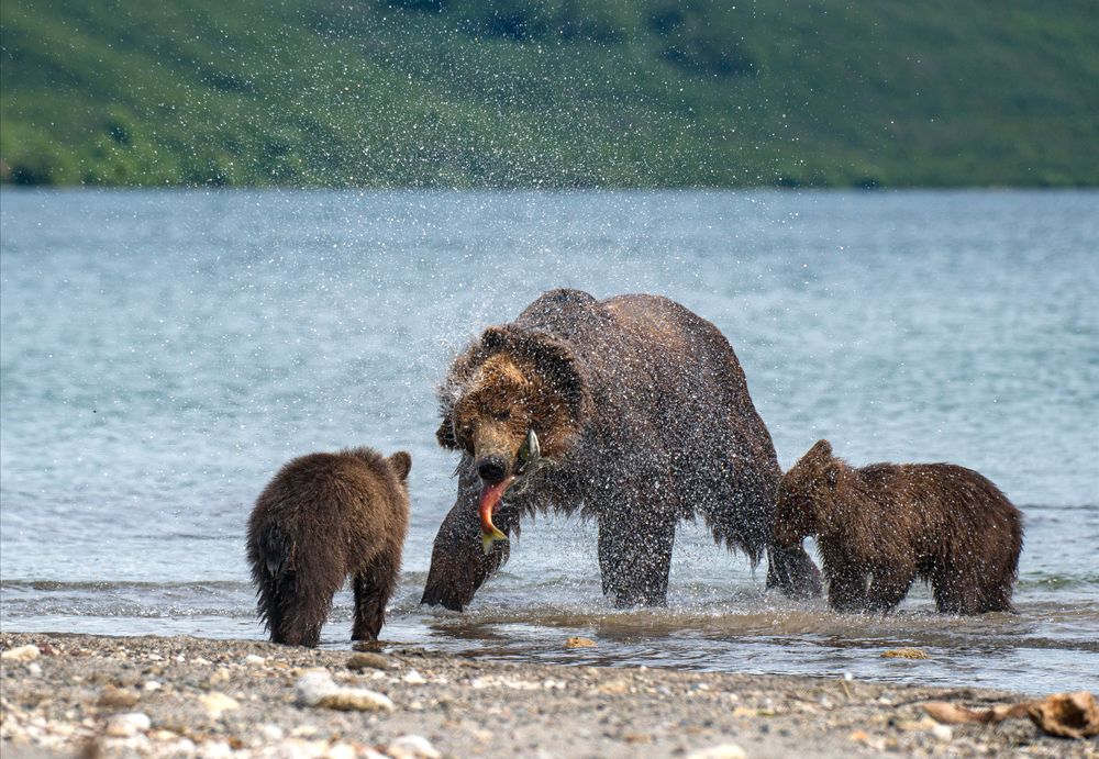 Photograph by Иванова Регина