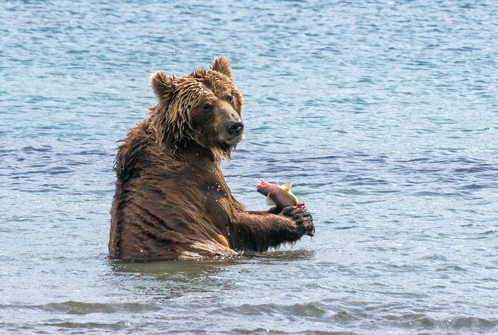 Фотография автора Иванова Регина