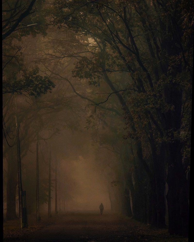 Photograph by Владимир Кульбит