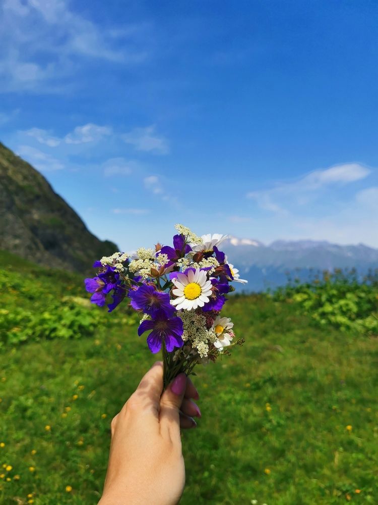 Photograph by Анастасия Бреева