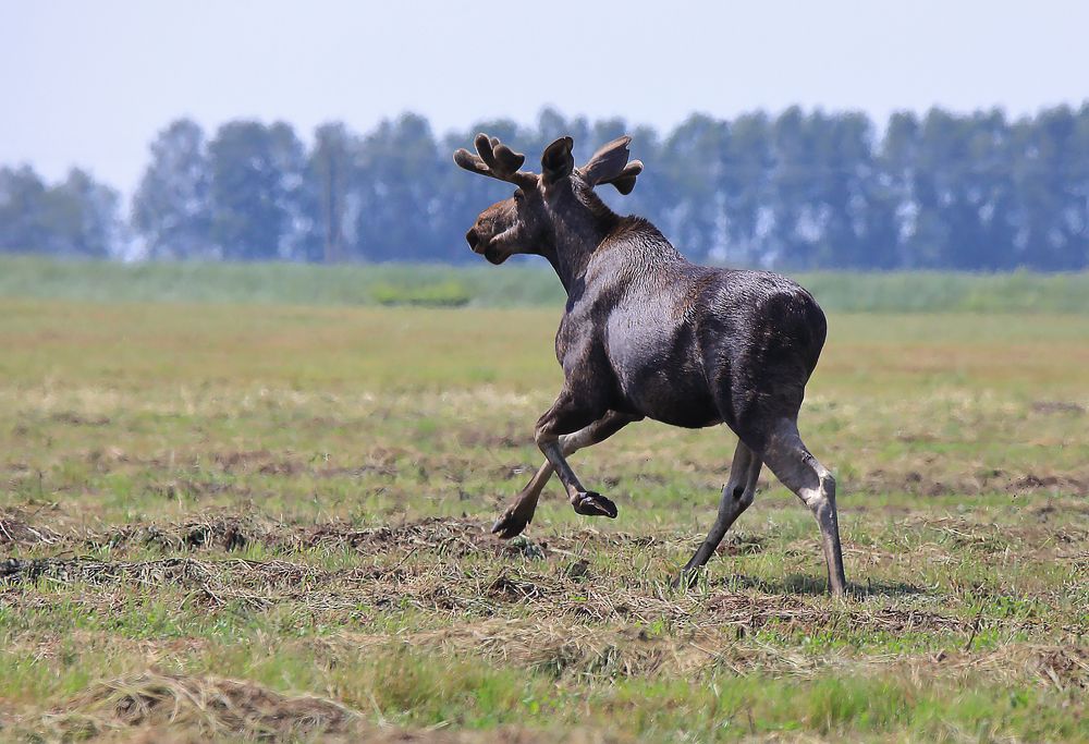 Photograph by Николай Протасеня
