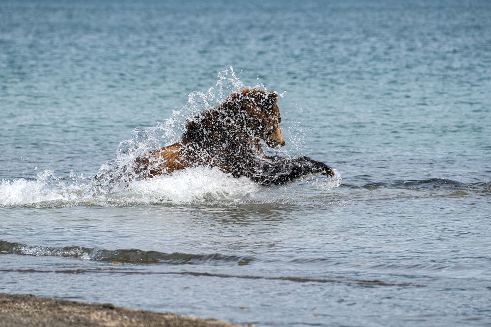 Photograph by Иванова Регина