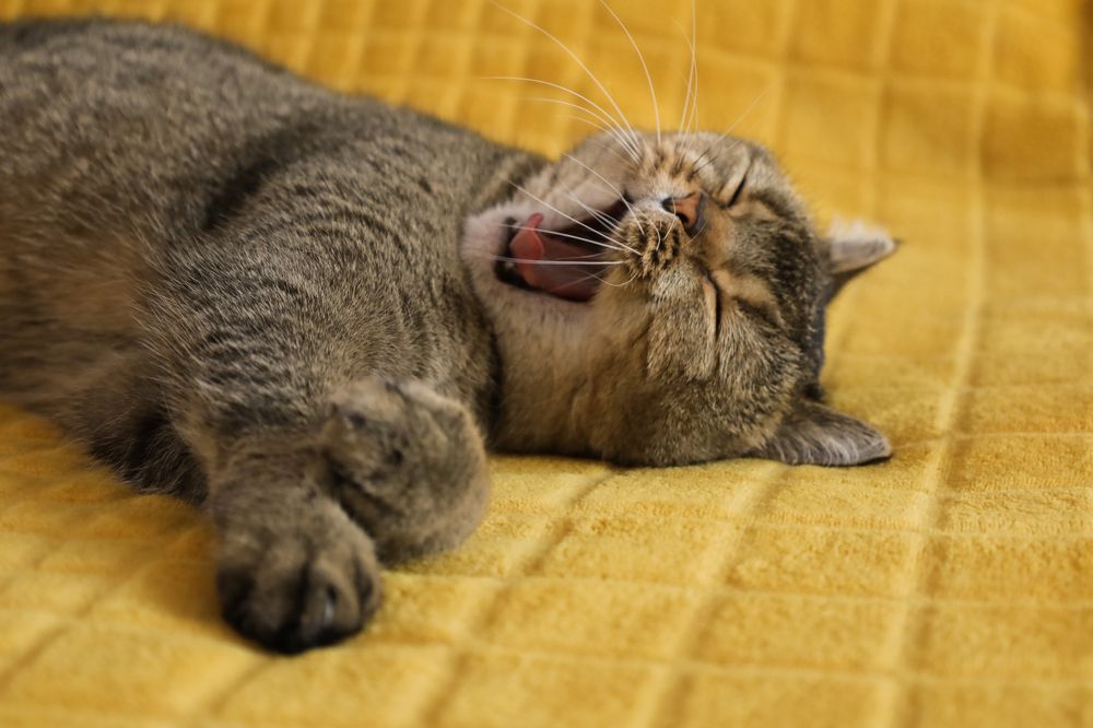 Photograph by Макарова Татьяна