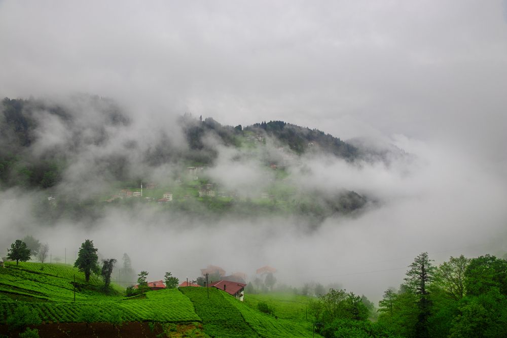 Photograph by Cemal Kaldirim