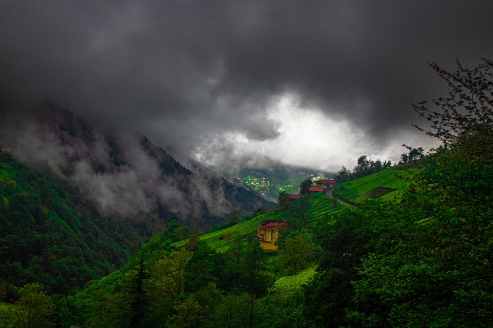 Photograph by Cemal Kaldirim