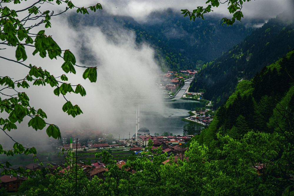 Photograph by Cemal Kaldirim