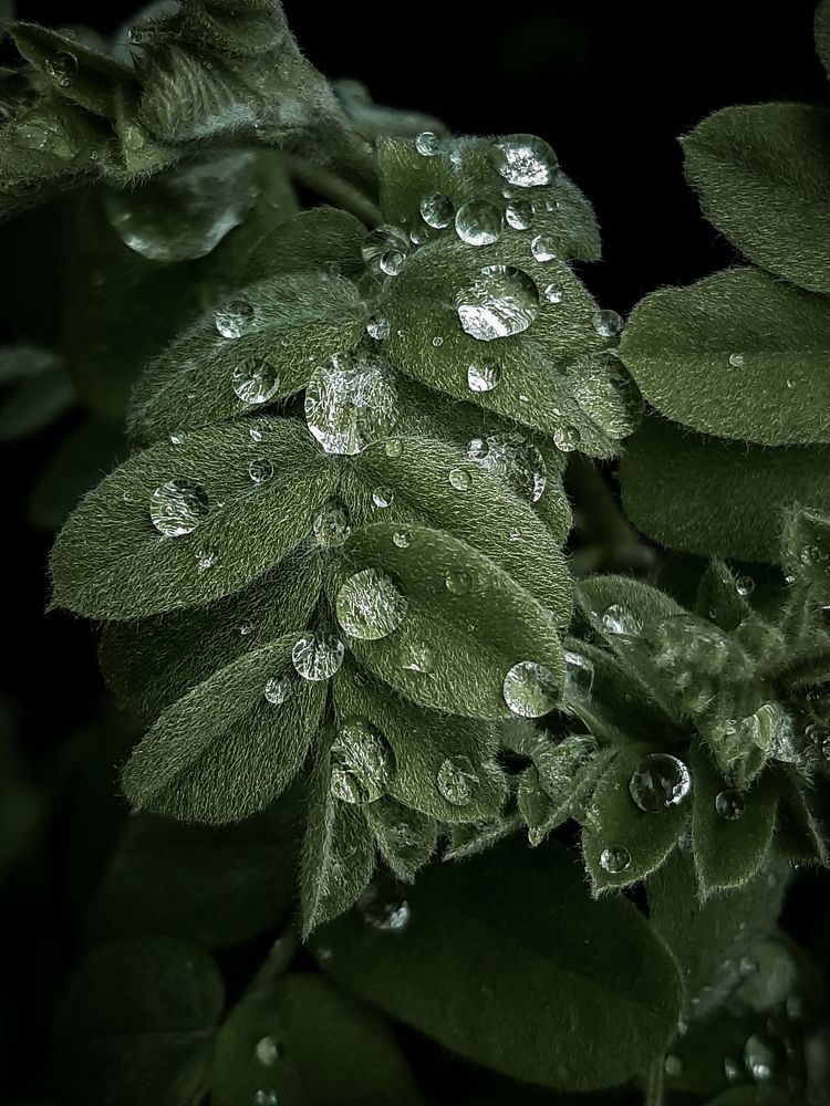 Photograph by Людмила