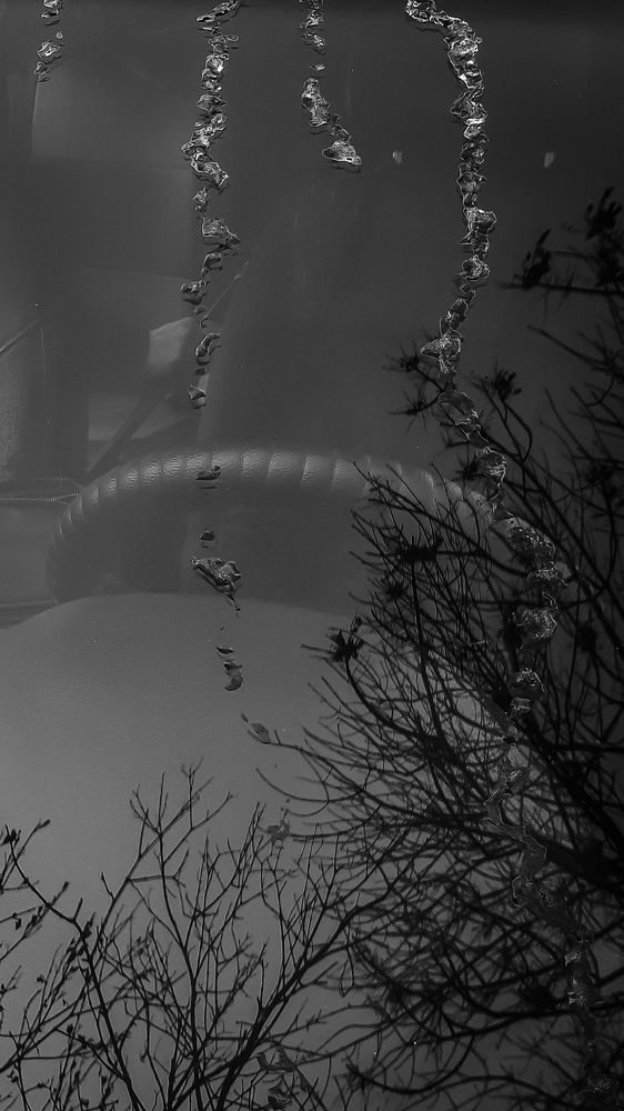 Photograph by Людмила