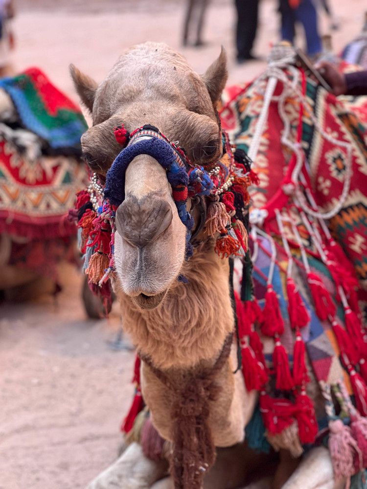 Photograph by Jeni Vladeva