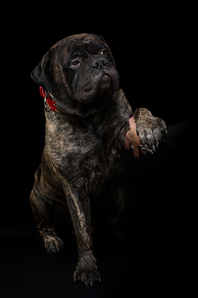 Photograph by Александр Ляхнович