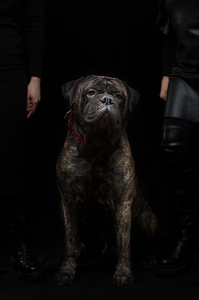 Photograph by Александр Ляхнович