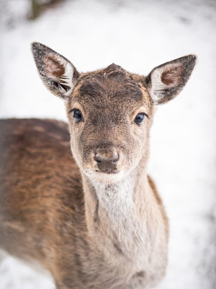 Photograph by Анастасия Лученок