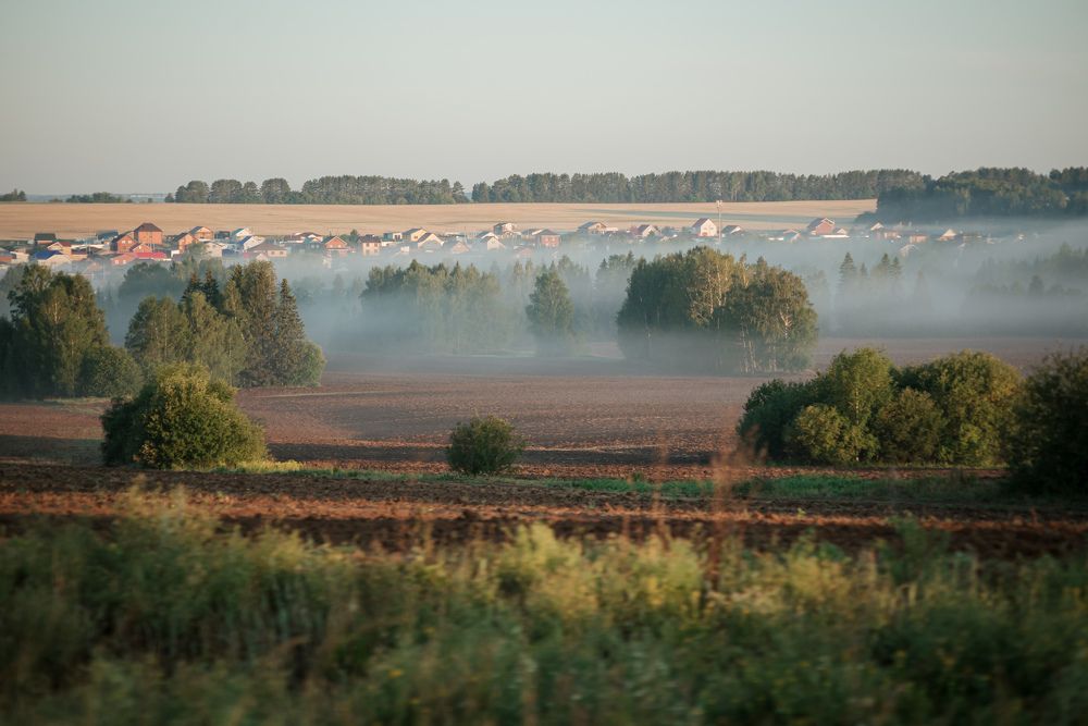 утренний туман