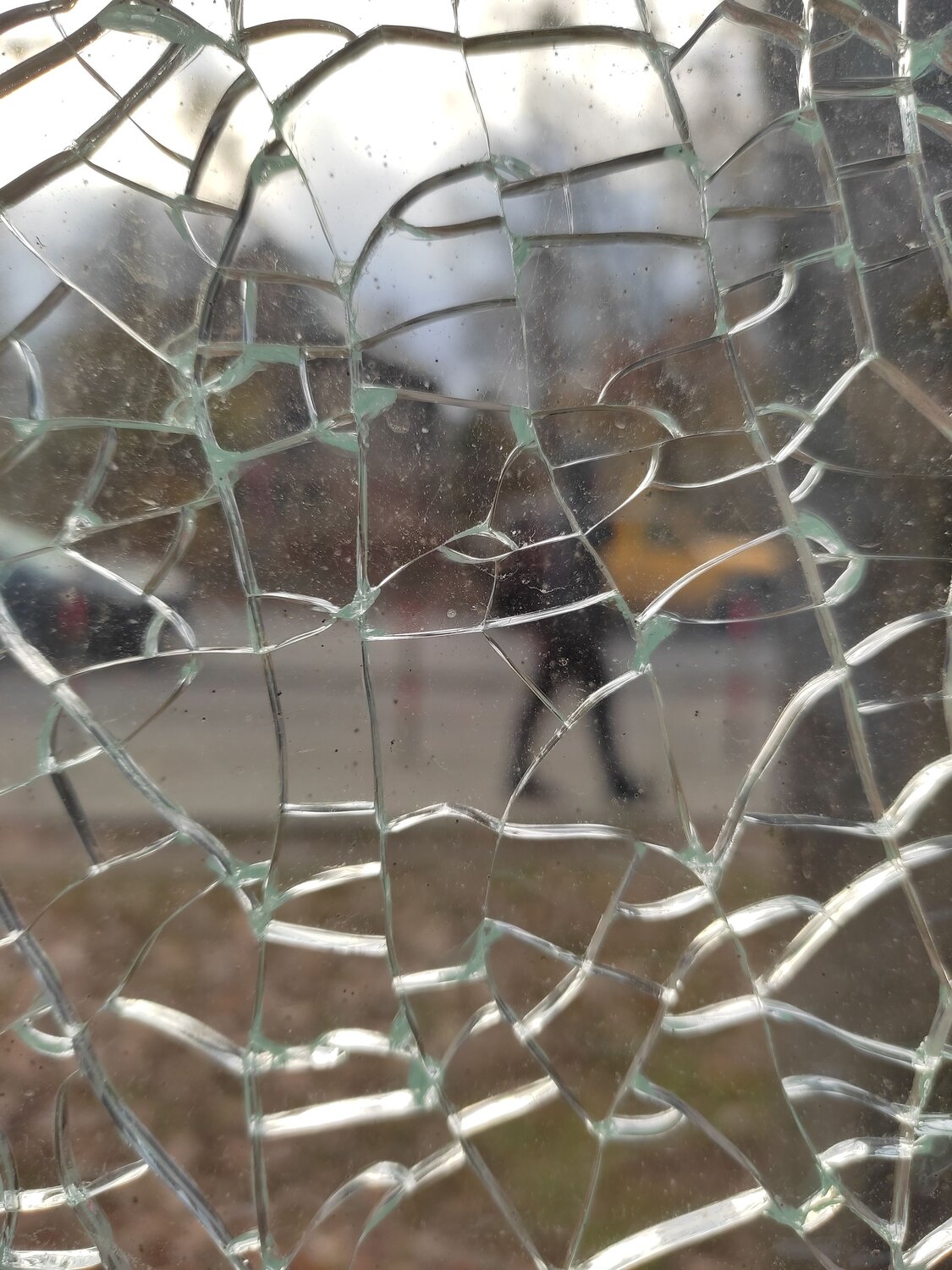 Photo #9904087