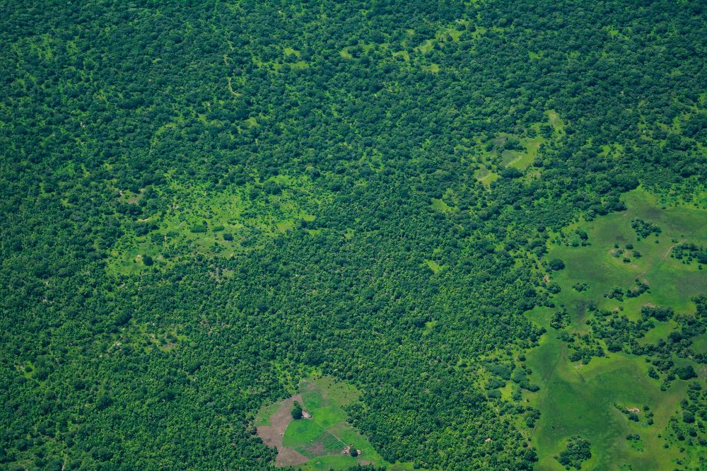 Photograph by Александр Шалагин