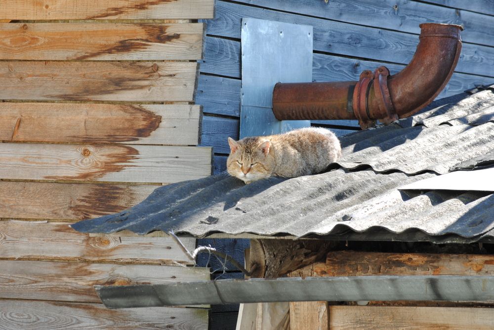 Photograph by Анна Архангельская