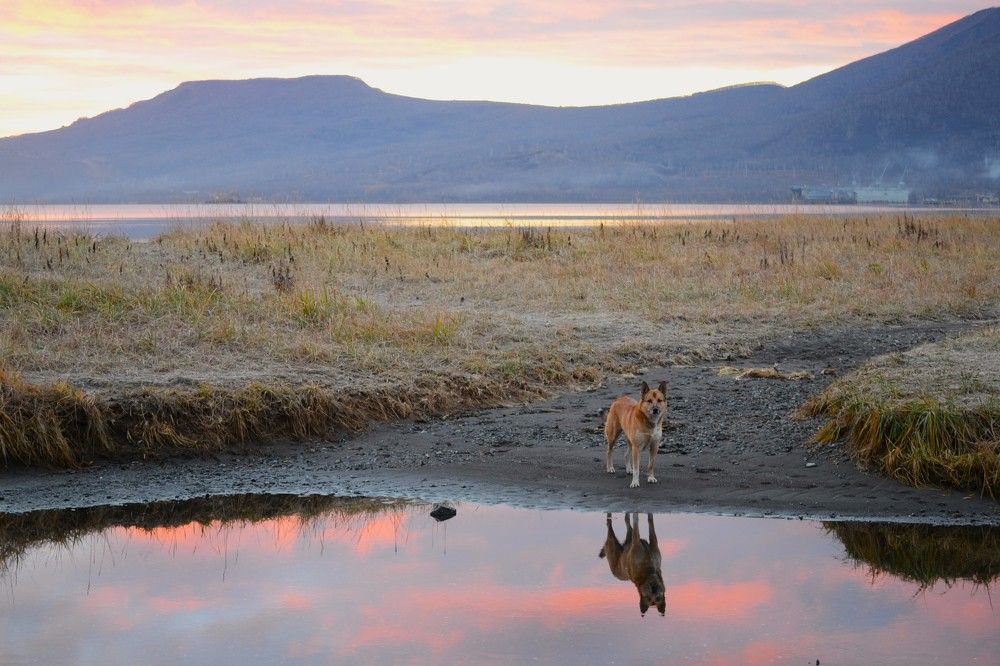 Photograph by Ения Семина