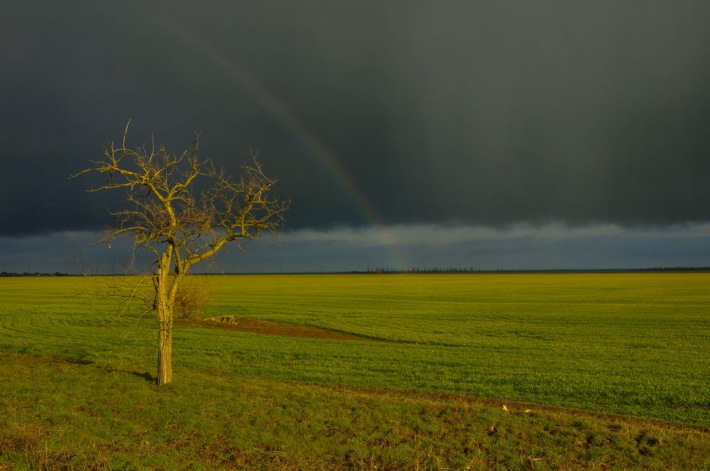 Photograph by Дерезюк Юрий Александрович