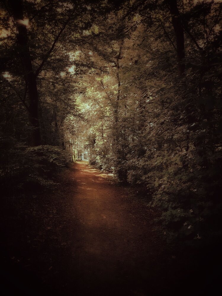 Photograph by Ljudmila Stupak