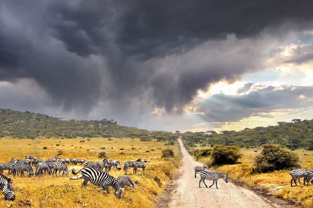 Photograph by Наталья Суслова