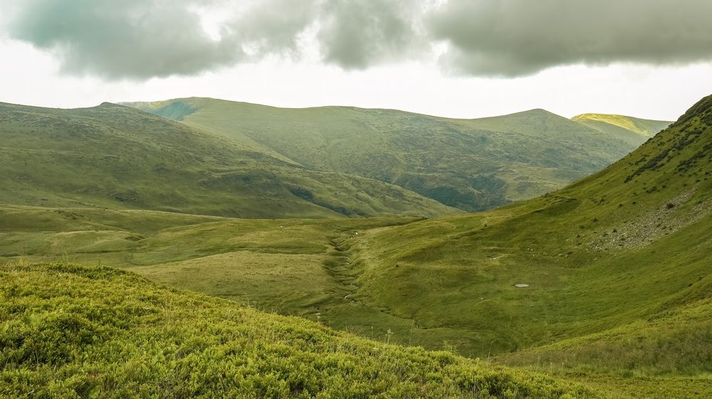 Photograph by Даниил Сырбу