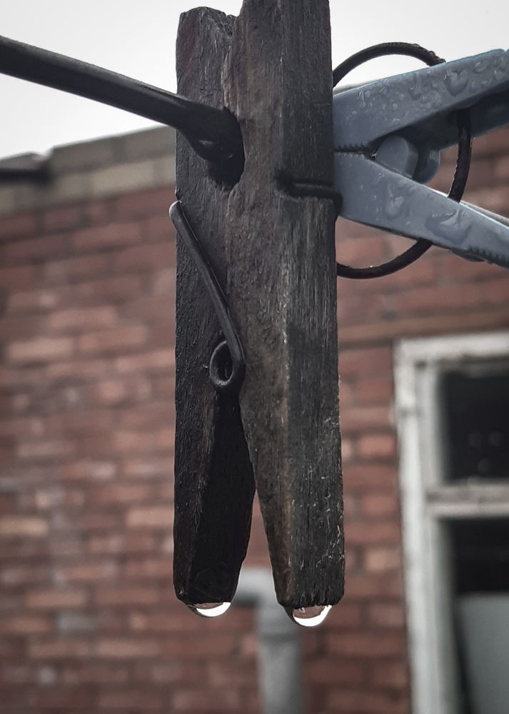 Photograph by Людмила