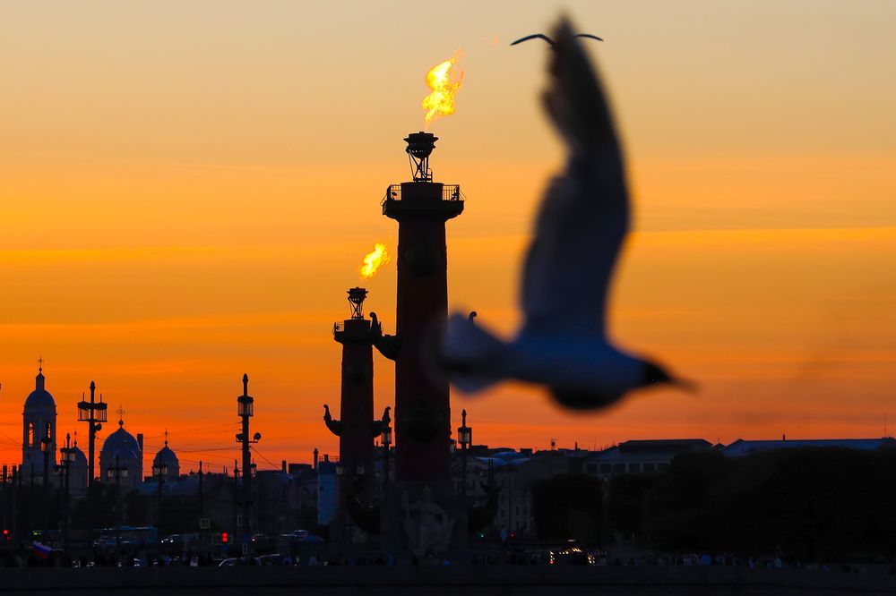 Photograph by Наталья Суслова