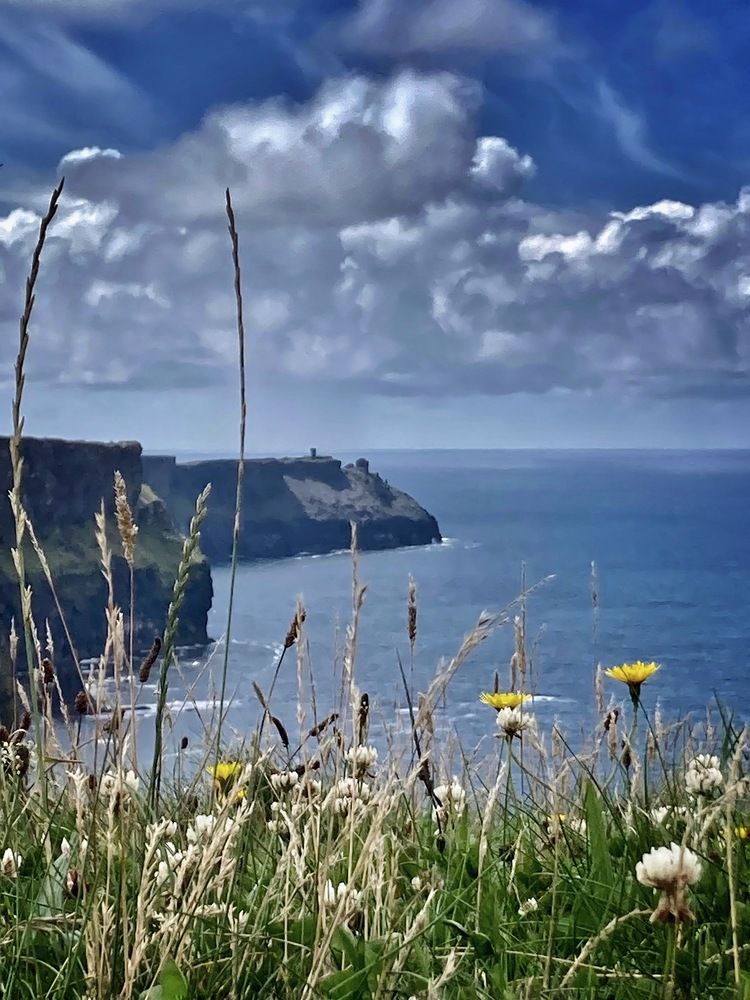 Photograph by Hellen de Carvalho