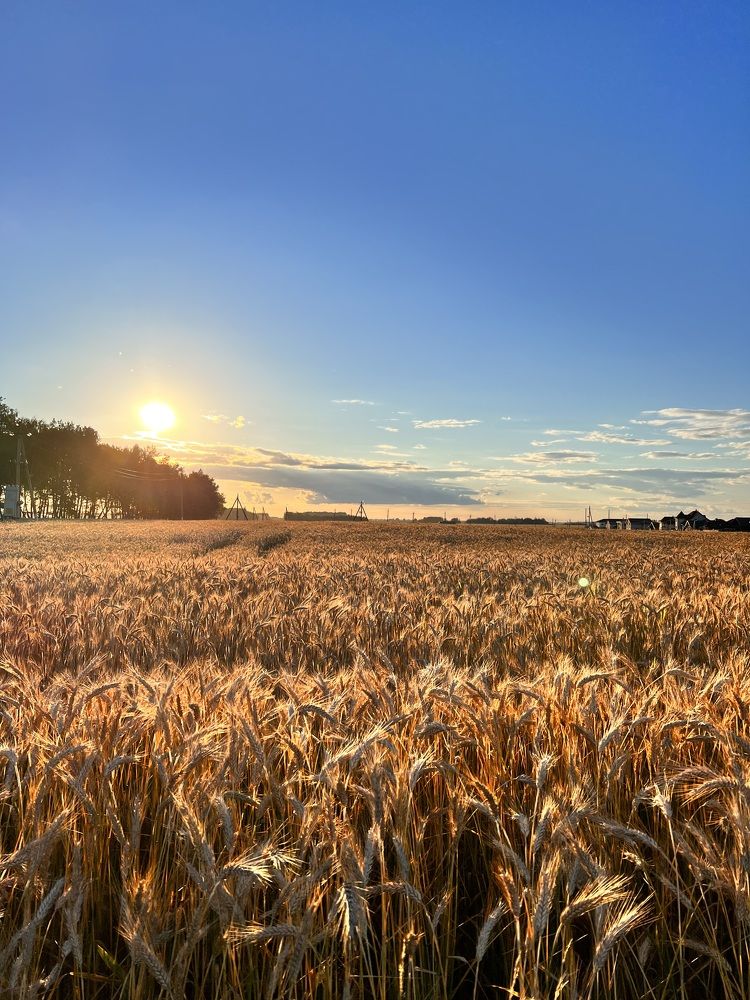 Photograph by Ольга