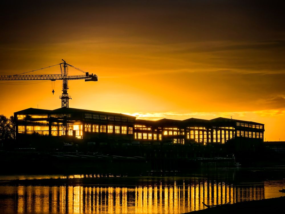 Photograph by Bojana Vein