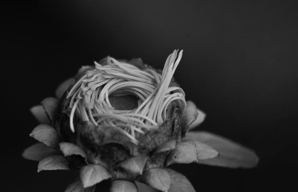 Photograph by Дерезюк Юрий Александрович