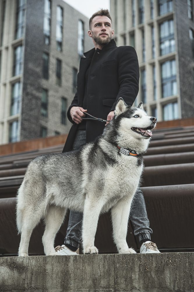 Photograph by Виктория Ахмылова