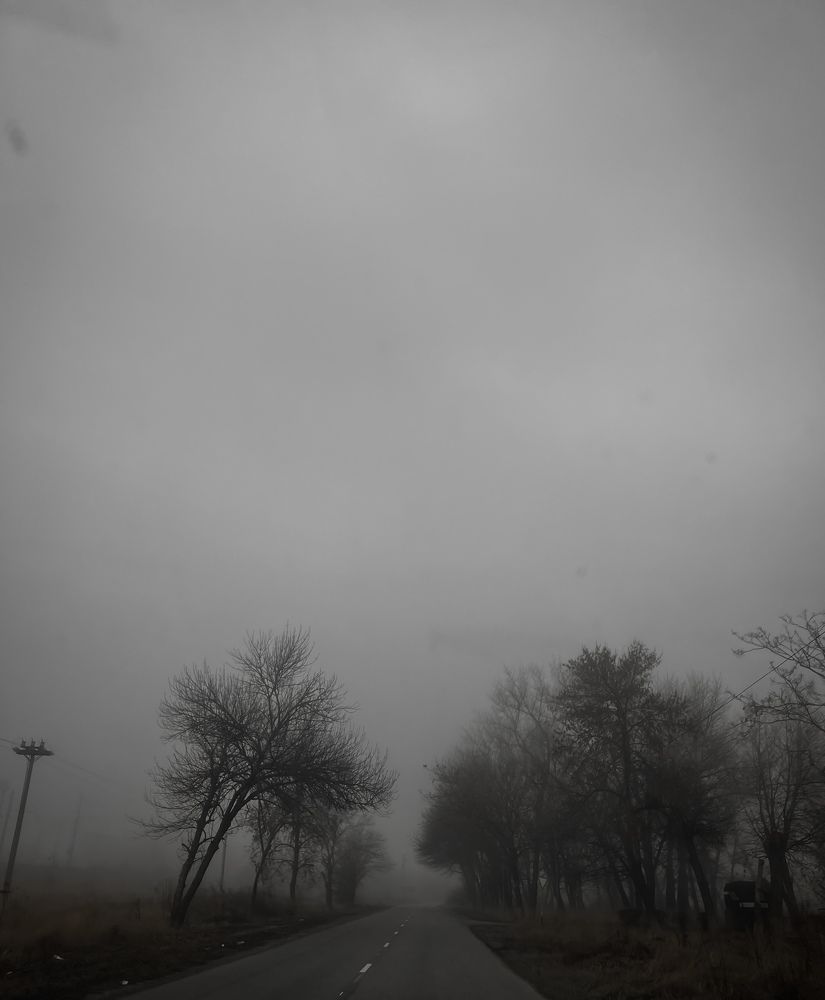 Туманная дорога