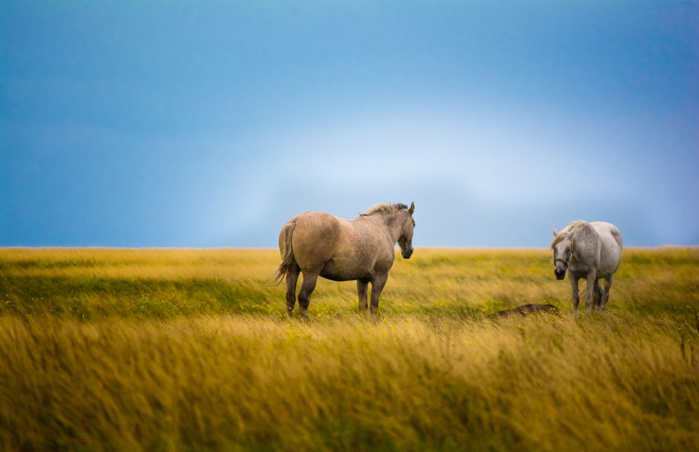 Photograph by Taras Shevchenko