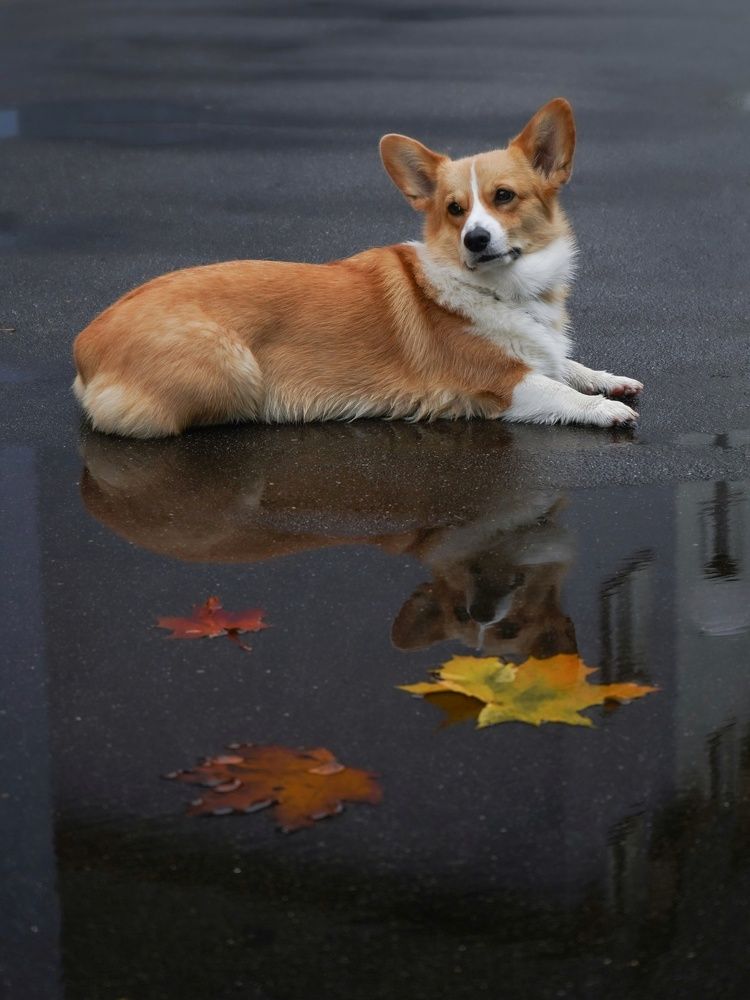 Photograph by Светлана Смирнова