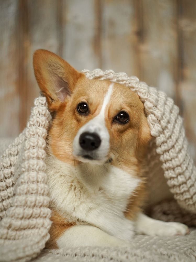 Photograph by Светлана Смирнова