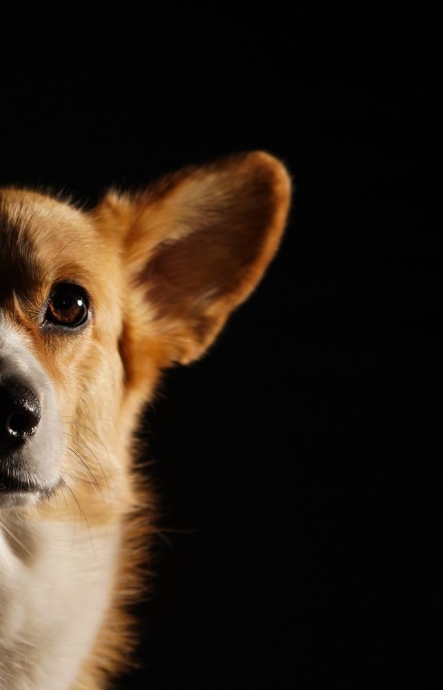 Photograph by Светлана Смирнова